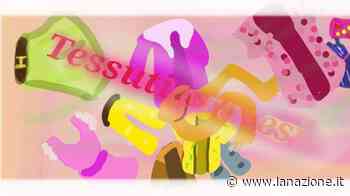 Classe II A, scuola media Conservatorio San Niccolò (Prato) - LA NAZIONE