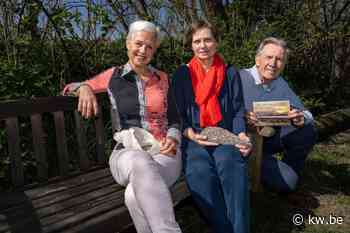 Studio Meganck toont creaties cursisten keramiek in Middelkerke: Schelpen spelen hoofdrol - KW.be - KW.be