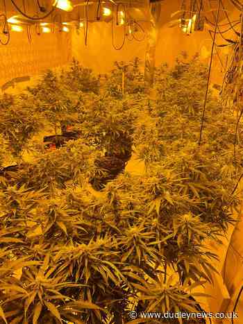 Large cannabis factory found in Tipton | Dudley News - Dudley News