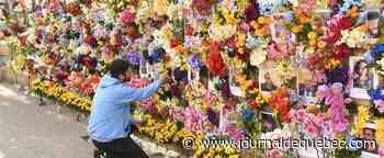 À Lviv, un mur fleuri en hommage aux Ukrainiens tués