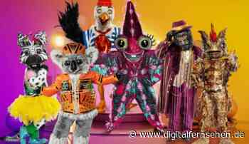 "Masked Singer": Panne beim Finale - DIGITAL FERNSEHEN - Digitalfernsehen.de
