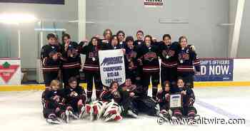 Championship seasons: Cape Breton minor hockey teams capture provincial titles - Saltwire