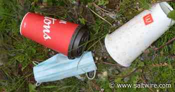 Cleaning house: Cape Breton Regional Municipality to hold clean-up event amid 'persistent' litter problem - Saltwire