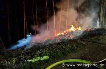 FW-EN: Brand im Gevelsberger Stadtwald