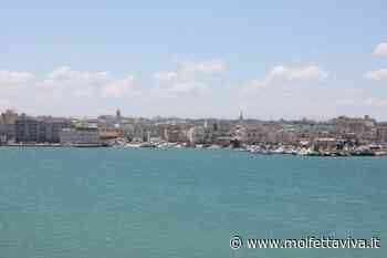 "Ala democratica": 24 professionisti in campo per Tommaso Minervini sindaco - MolfettaViva