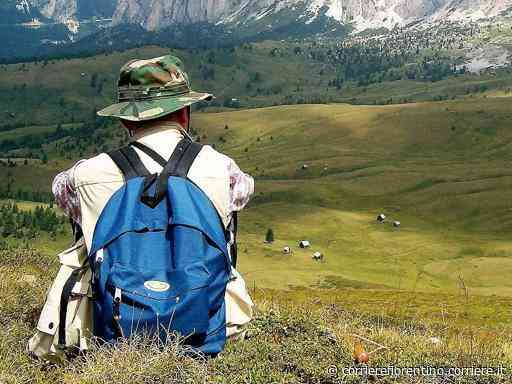 Siena, sospeso il professore delle molestie che minimizza: «So di aver fatto delle cavolate» - Corriere Fiorentino