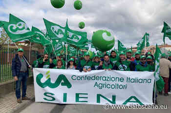 Costi produzione alle stelle. Agricoltori in piazza, Cia Siena: rendere strutturali le misure d'emergenza - Cia Toscana