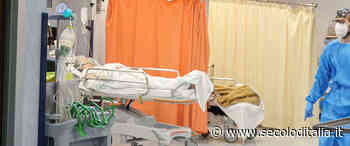 Gravi ritardi all'ospedale di Massa, 5 ore di attesa per un drenaggio toracico. La denuncia di FdI - Secolo d'Italia