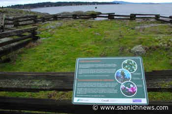 Online tool challenges Oak Bay residents to become climate champions - Saanich News