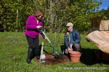 Colwood couple recognized for park cleanup efforts on Earth Day – Saanich News - Saanich News