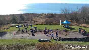 De-paved paradise: Environmental group targets asphalt in Saint John park - CBC.ca