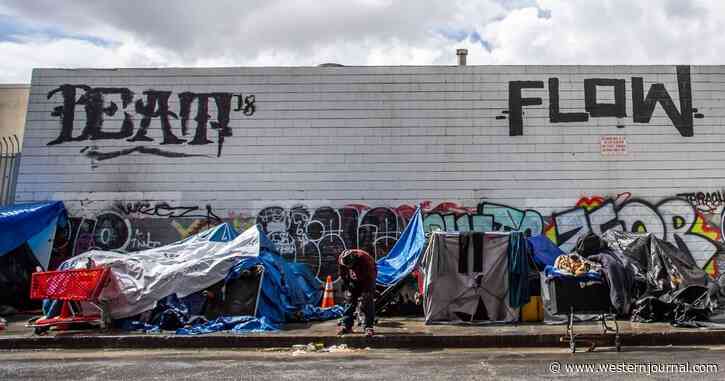 Data Reveals 2020 Spike in LA Homeless Deaths Wasn't Caused by COVID