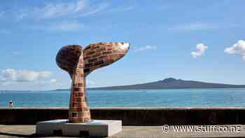 Tail sculptures bring ocean to life in vitual art trail project - Stuff