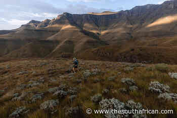 Ultra-Trail Drakensberg 2022 sees records tumble - The South African