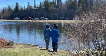 Saint John families observe Earth Day with trail cleanups, hikes and crafts - Global News