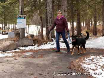 Trail users may see $1.9M Centennial Park pathway rebuild, widening - Whitecourt Star
