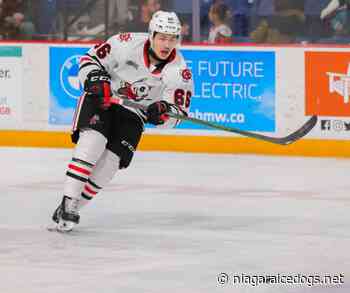IceDogs Trail Petes on the Road - Niagara IceDogs