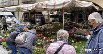 Fiori, piante e energie rinnovabili a Cuneo - La Guida - LaGuida.it