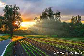 Giornata della Terra, Coldiretti Cuneo: perso il 28% dei campi coltivati - IdeaWebTv