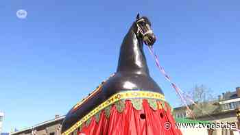 Ros Beiaard voor het eerst in 12 jaar van stal, Dendermonde al half in extase! - TV Oost