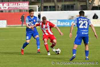 Ancona Matelica, poker a Pesaro Ai playoff ci sarà l'Olbia - Cronache Maceratesi