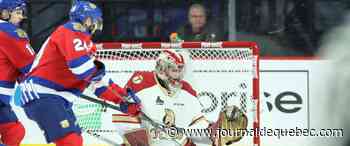 LHJMQ: les Wildcats de Moncton en séries