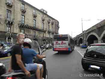 Catania, Gelsomino: “Rifiuti, intervenga l'esercito” - Livesicilia.it