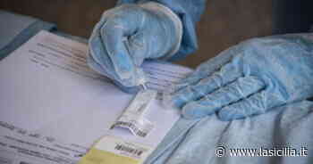 Catania, contagi fuori controllo: feste e autotest falsano numeri effettivi dei casi - La Sicilia