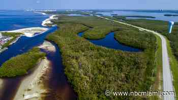 Stuck in Florida Wetlands, Woman is Rescued by Helicopter