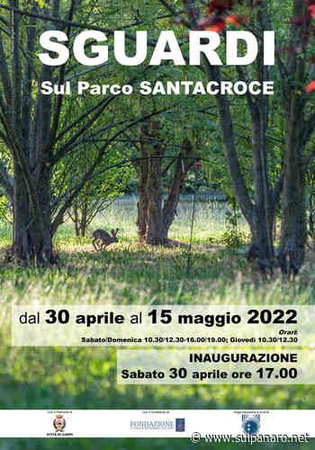 Carpi. In mostra il parco Santacroce interpretato dal gruppo Grandangolo - SulPanaro