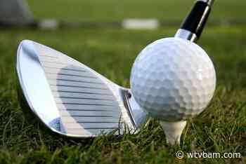 Coldwater boys golf 5th at Marshall, Quincy 14th - WTVB