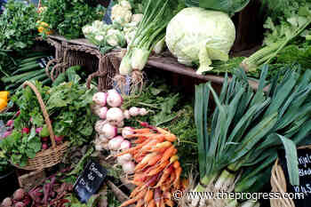 Chilliwack's Ruth and Naomi's Mission launching garden program for Interchange residents – Chilliwack Progress - Chilliwack Progress