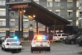 Chilliwack man gets 10 years for attempted murder at Langley hotel – Agassiz Harrison Observer - Agassiz Harrison Observer