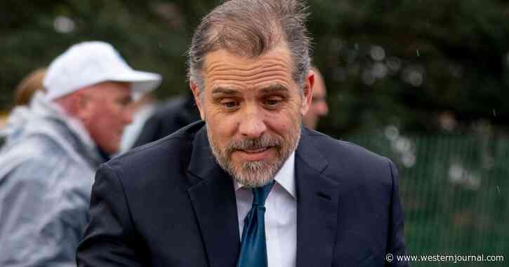 Wikipedia Deletes Entry for Rosemont Seneca Partners, Claims Hunter Biden-Linked Page Is a 'Magnet' for Conspiracies