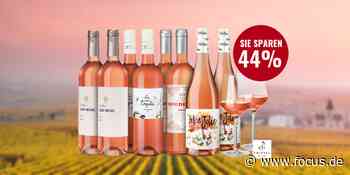 Entdecken Sie jetzt 8 Rosé-Weine aus Frankreich – kurze Zeit 44 Prozent sparen - FOCUS Online