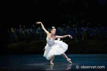 Ballet Companies All Do “Swan Lake”. What Makes One Version Different From Another?