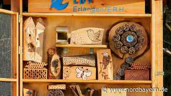 So sieht das ideale Haus für Wildbienen aus - Nordbayern.de