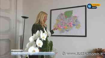 Monza verso le elezioni amministrative: il bilancio dell'assessore Martina Sassoli - Il Cittadino di Monza e Brianza