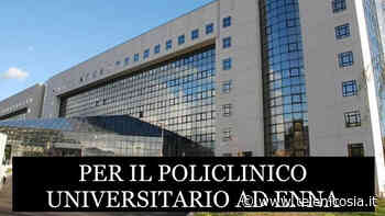 Il Comitato pro Policlinico ad Enna contrario alla proposta di legge per l'istituzione della Fondazione Policlinico della Sicilia Centrale Kore - TeleNicosia