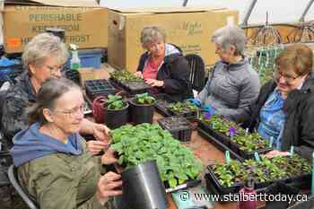 St. Albert Botanic Park buzzing with activity - St. Albert TODAY