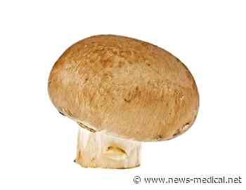UMass Amherst research focuses on the benefits of consuming mushrooms - News-Medical.Net