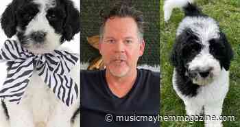 Gary Allan Welcomes New Puppy To His Family: "Meet Miss Patsy Cline" - Music Mayhem Magazine