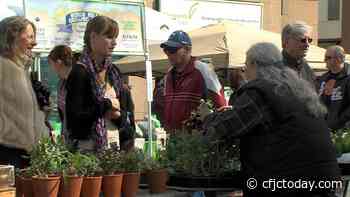 Kamloops Farmers' Market returns on Saturday - CFJC Today Kamloops