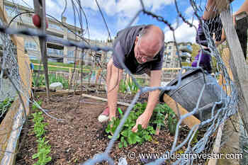 VIDEO: Celebrating Langley City's first-ever Earth Day – Aldergrove Star - Aldergrove Star