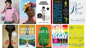As book banning efforts escalate across the US, challenged titles have these themes in common