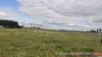 Tiempo en Zamora: suben las temperaturas hasta los 22 grados - Zamora News
