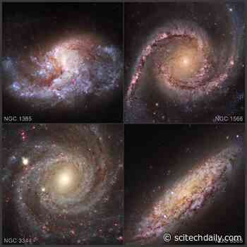 Black Holes Devour Thousands of Stars To Fuel Growth