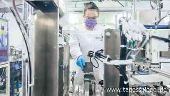 Seltene Rohstoffe: Europa sucht nach neuen Quellen - Wirtschaft - Tagesspiegel