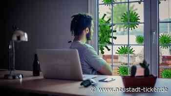 Dresden: Neue Quarantäneregelung ab Montag - Neustadt-Geflüster