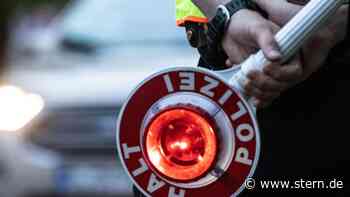 Landkreis Passau: Illegaler Welpentransport auf A3 gestoppt - STERN.de